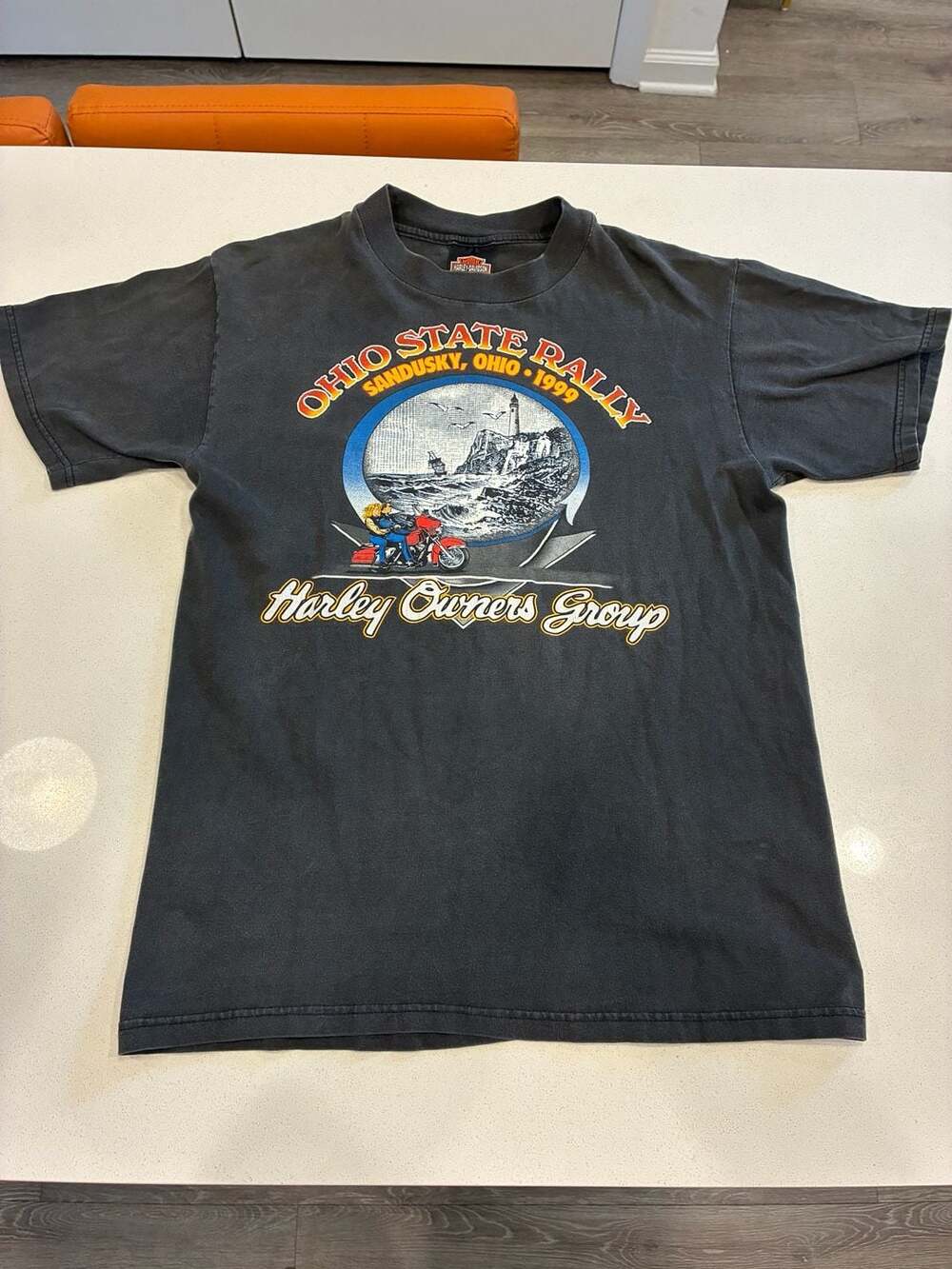 Harley Davidson Ohio State Rally Sandusky 1999 VTG X-large - ,